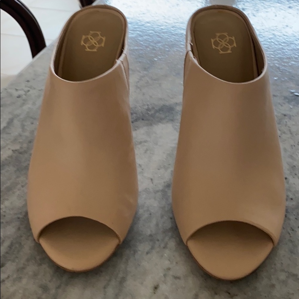Ann Taylor shoes
